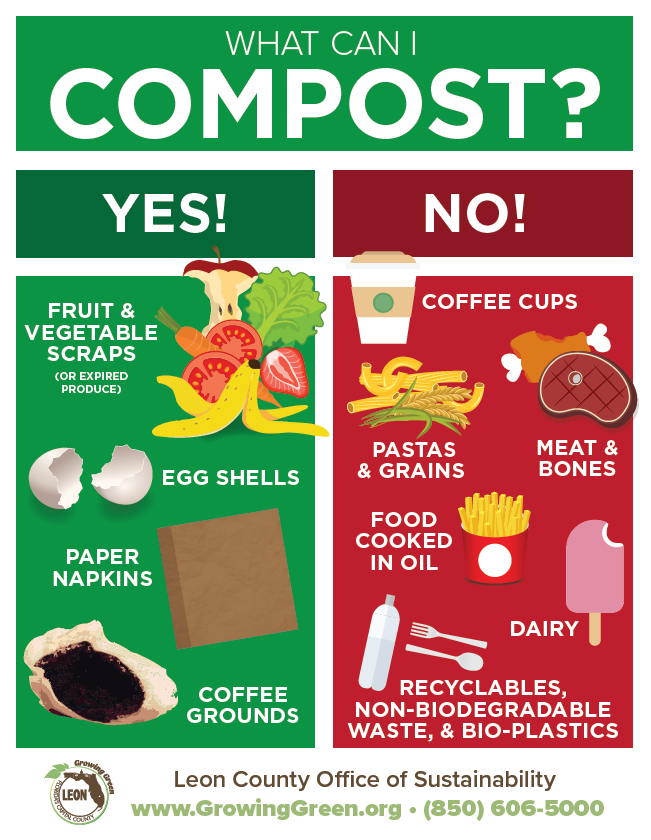 Fruit and vegetable scraps, expired produce, paper napkins, and coffee can all be composted, while coffee cups, pastas and grains, meat and bones, fried food and food cooked in oil, dairy products, recyclables, non-biodegradable waste, and bio plastics can not be composted.